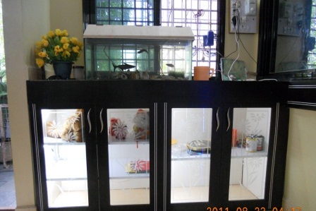 Kitchen 4